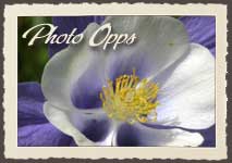 Victor Photography