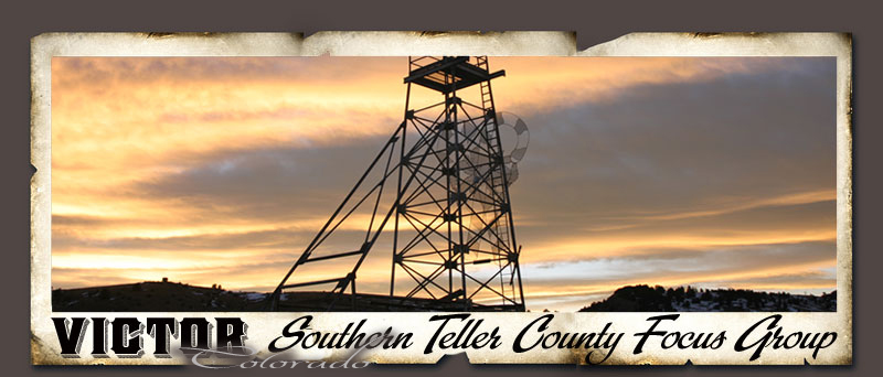 Southern Teller County Focus Group