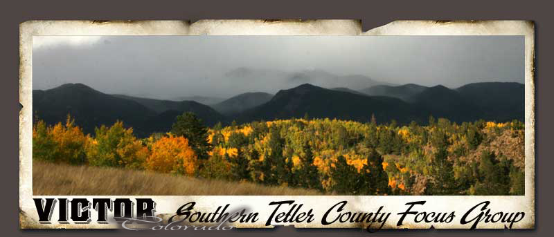 Southern Teller County Focus Group