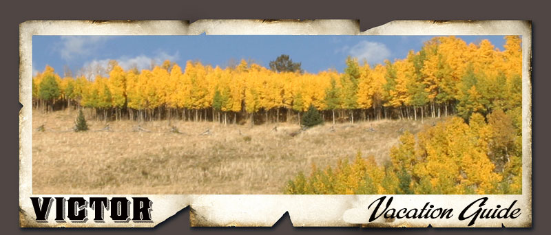 Fall Near Victor, Colorado