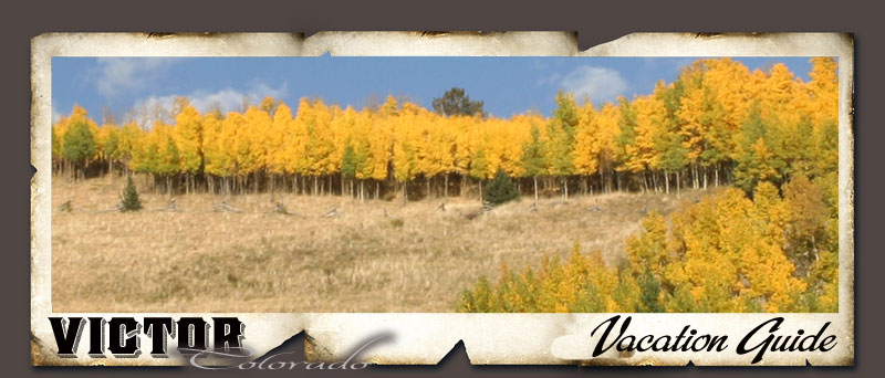 Fall Near Victor, Colorado